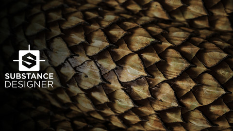 Reptile Scales [Substance Designer]