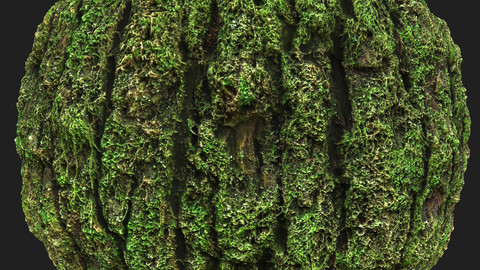 Mossy Tree Bark Material