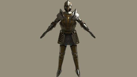 Renaissance Knight