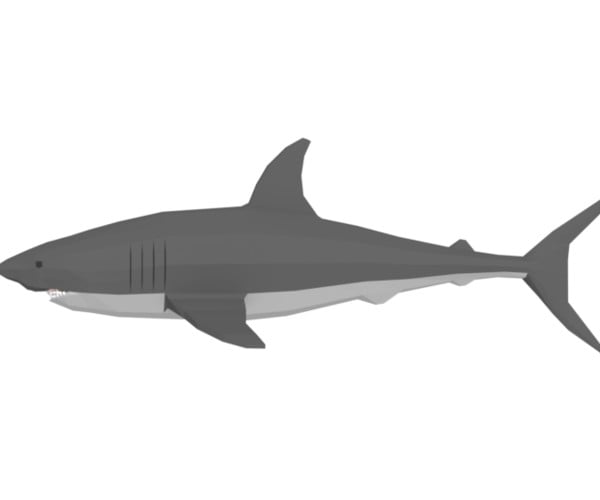 sharks 3d google camera