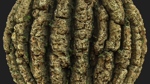 Tree Bark 6