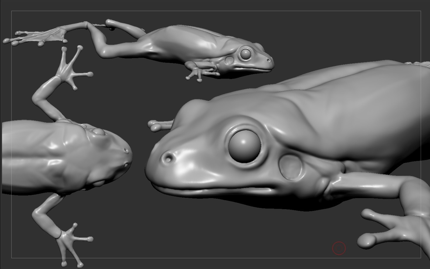 ArtStation - realistic frog