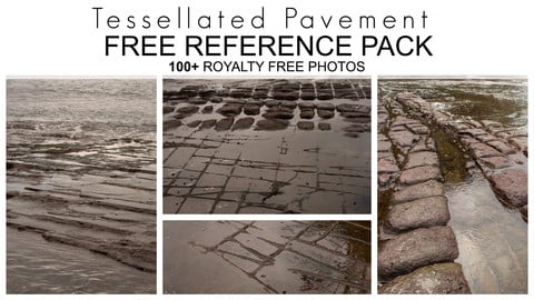 Free Reference Pack - Tessellated Pavement 100+ Royalty Free Photos