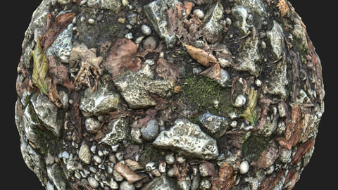 Forest Ground with Small Stones and Leaves Material Pack