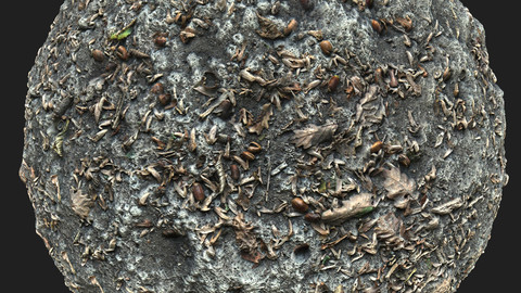 Forest Ground 2 Material Pack