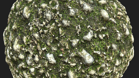 Rocky Mossy Forest Ground 2 Material Pack