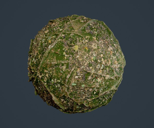 ArtStation - 22 Ground Forrest Seamless PBR Texture Pack | Game Assets