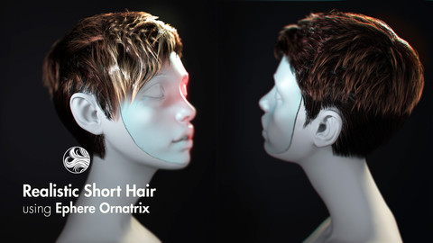 Realistic 3d short hair creation using ornatrix