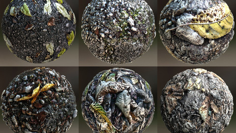 Autumn Material Land 2019