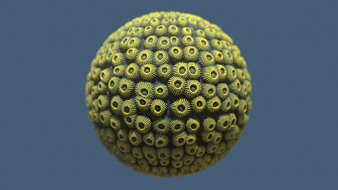 Coral Texture - Full Procedural