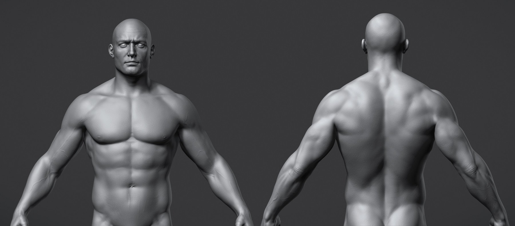 ArtStation - Male Anatomy Reference Model