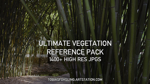 Ultimate Vegetation Reference Pack