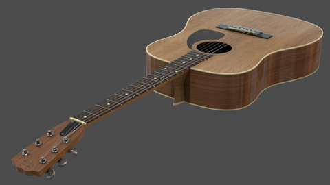 Acoustic Guitar