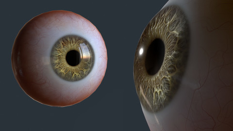 Eye (game ready and presentation)