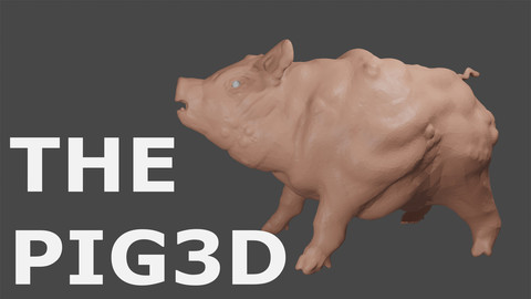 THE PIG 3D