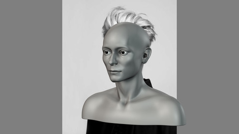 Tilda Swinton 3d Model