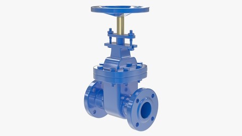 Gate Valve