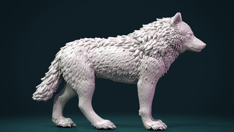 Wolf III