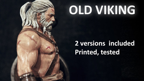 OLD Viking 3D print model