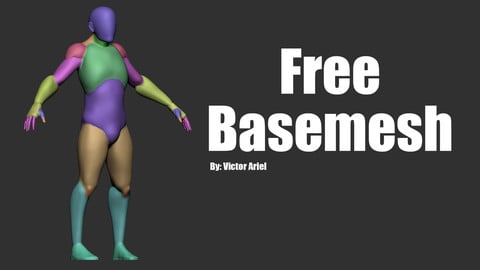 Free Basemesh - Male