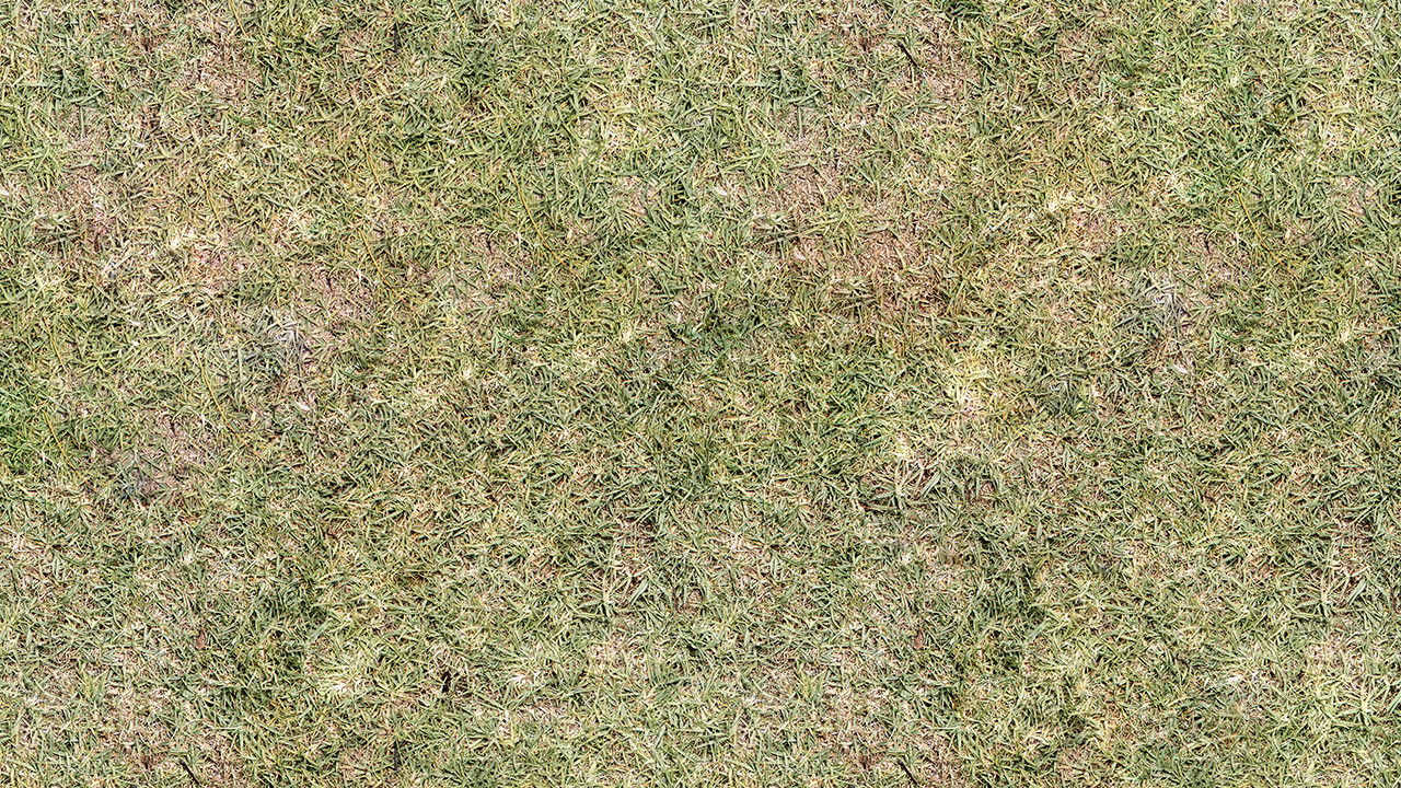 Artstation Pack Of 30 Grass Seamless Textures In 4k Resources 