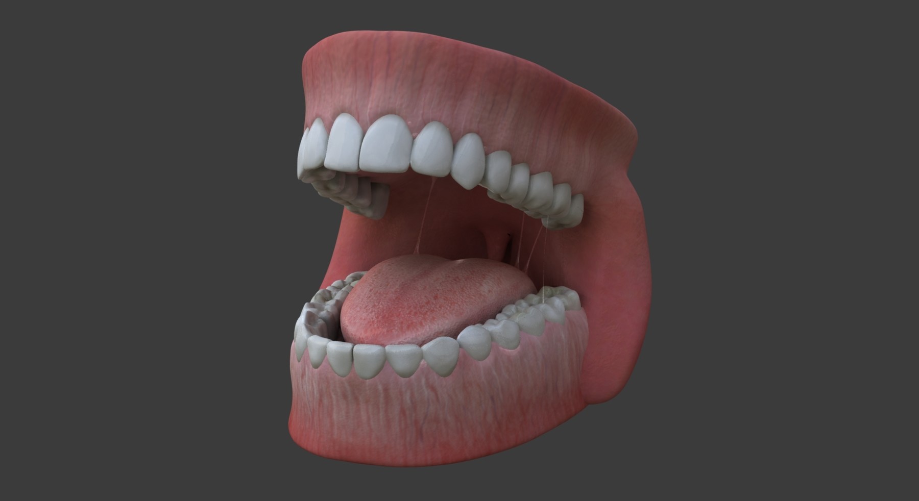 tongue texture zbrush