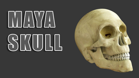 Maya Skull