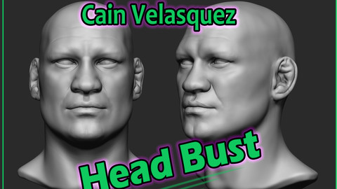 Head Bust (Model Ref: Cain Velasquez)