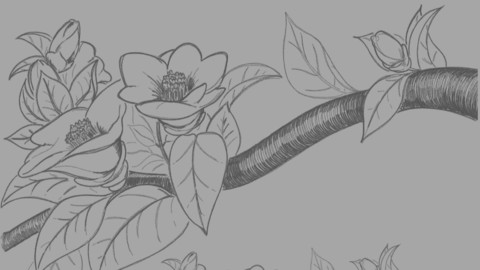 Camelia Branch