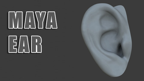 Maya Ear