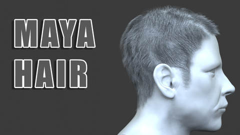 Maya Polygon Male Hair