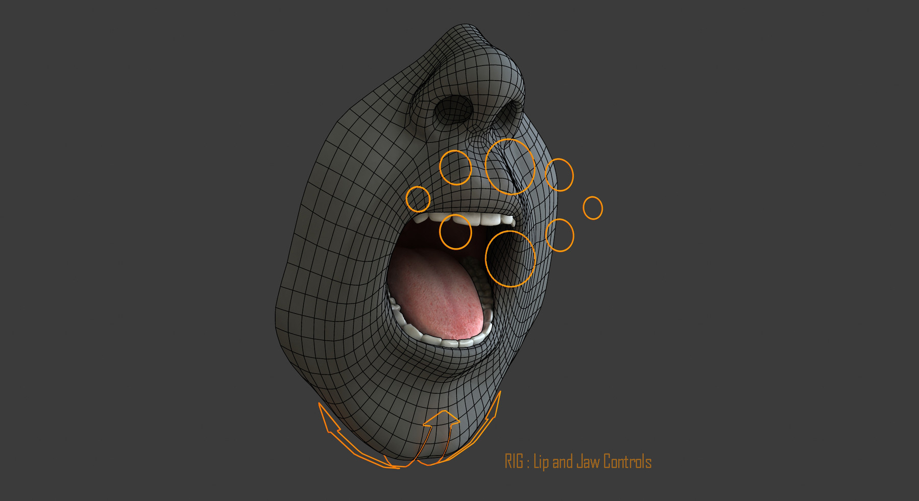 mouth rig for after effects download