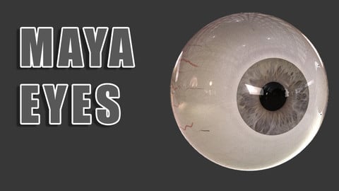 Maya Rigged Eyes