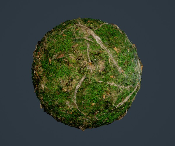 ArtStation - Forest Ground Tree Roots Seamless PBR Texture 14 | Game Assets