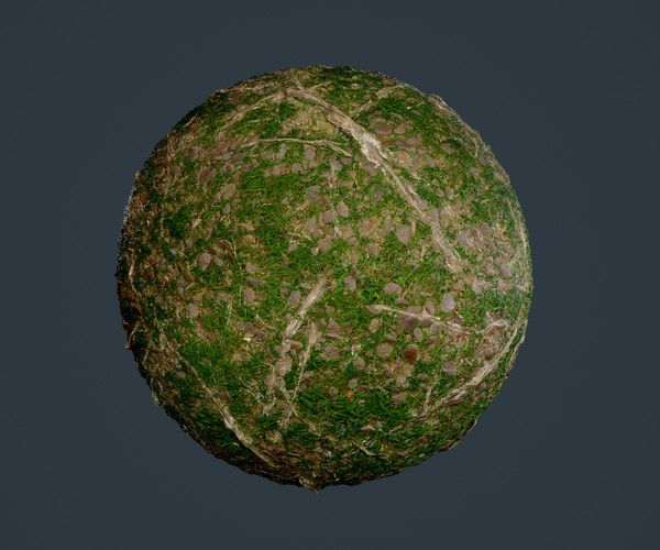 ArtStation - Forest Ground Tree Roots Seamless PBR Texture 16 | Game Assets