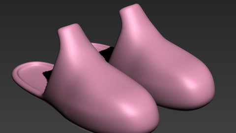 House cloth bathroom zapatillas casa slippers velvet 3d bed foot 3D model