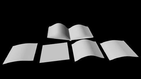 Open Book Paper Pieces untextured