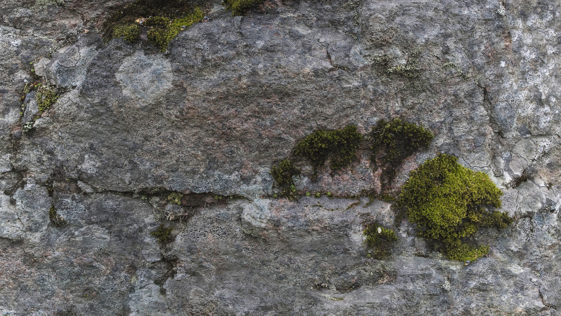 Artstation Pbr Stone Moss 1 8k Seamless Texture 5 Variations Resources