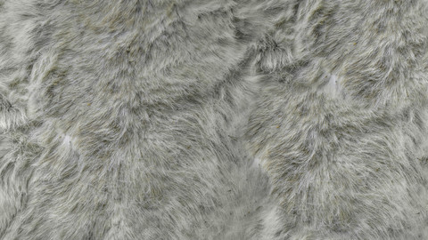 PBR Reindeer Fur 1 - 8K Seamless Texture (5 variations)