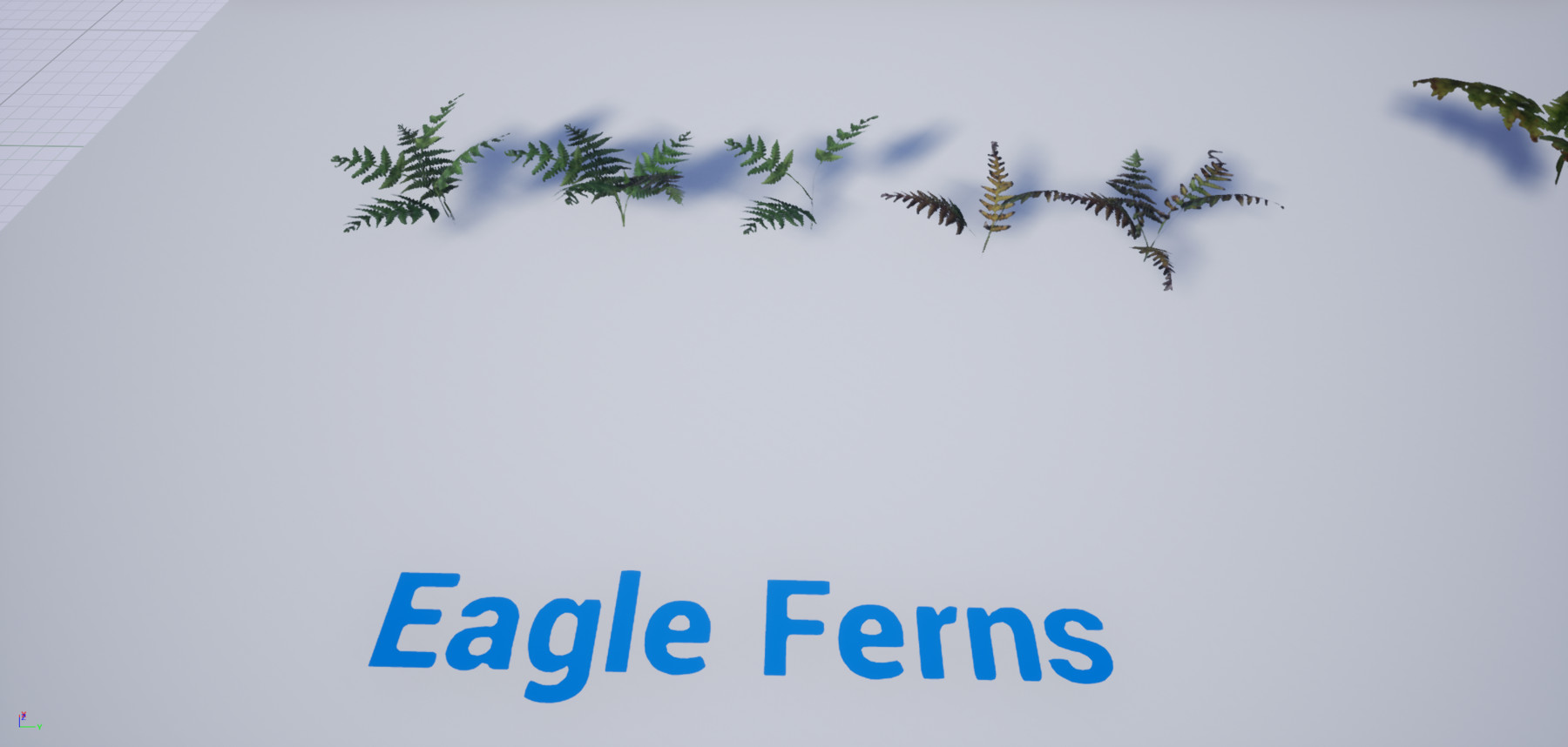 ArtStation (UE4) The Fern Collection Resources