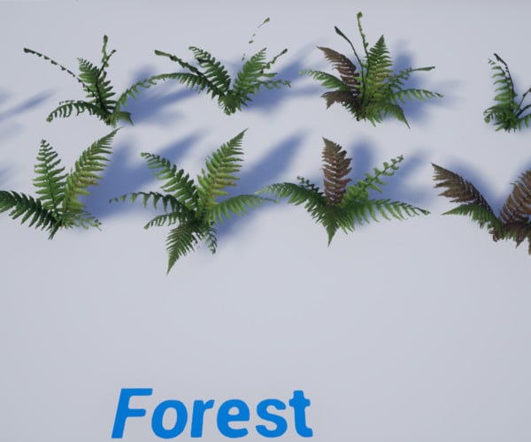 ArtStation (UE4) The Fern Collection Resources