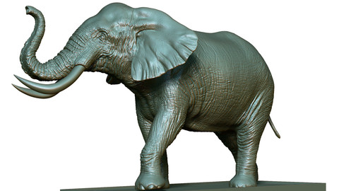 Elephant 3D Printing