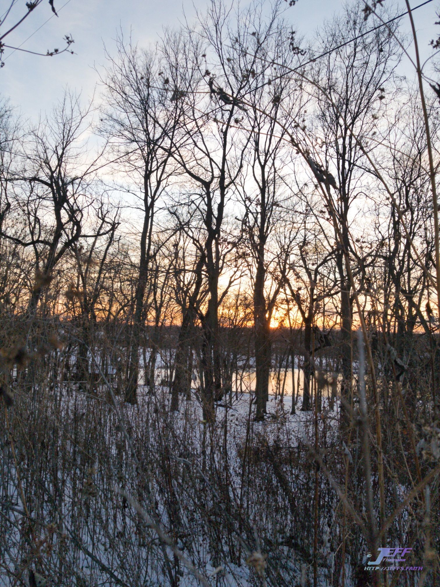 ArtStation - Winter Escape | Resources