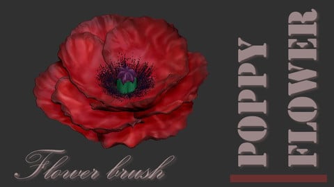 Poppy flower brus for zbrush