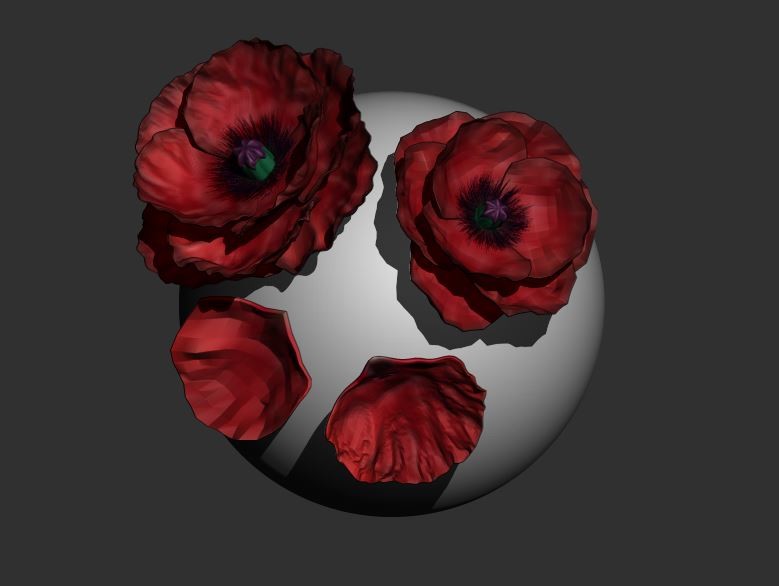 ArtStation Poppy flower brus for zbrush Brushes