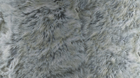 PBR Reindeer Fur 3 - 8K Seamless Texture (5 variations)