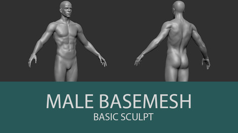 Male Body Basemesh
