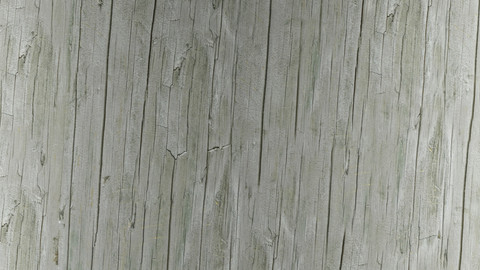 PBR Tree Bark 11 - 8K Seamless Texture (5 variations)