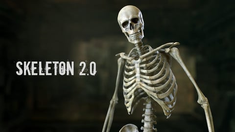 Skeleton 2.0