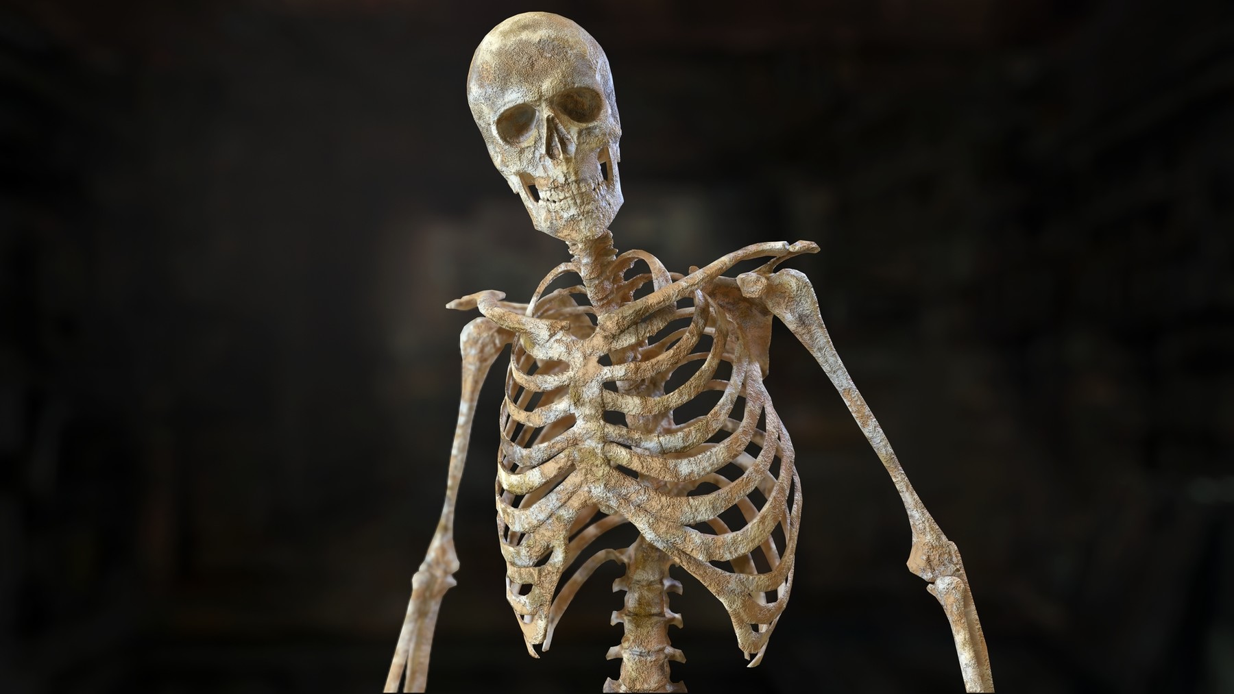 Облегченный скелет. 2х2 скелет Костя. Скиллет.